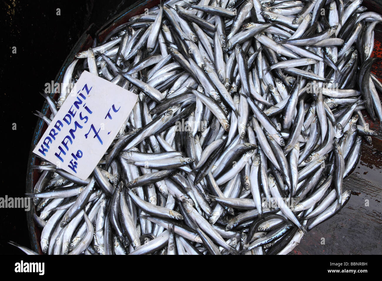 Istanbul Turquie poisson frais à vendre Kara Deniz Hamsi anchois de la Mer Noire au marché au poisson de Karakoy Beyoglu Banque D'Images