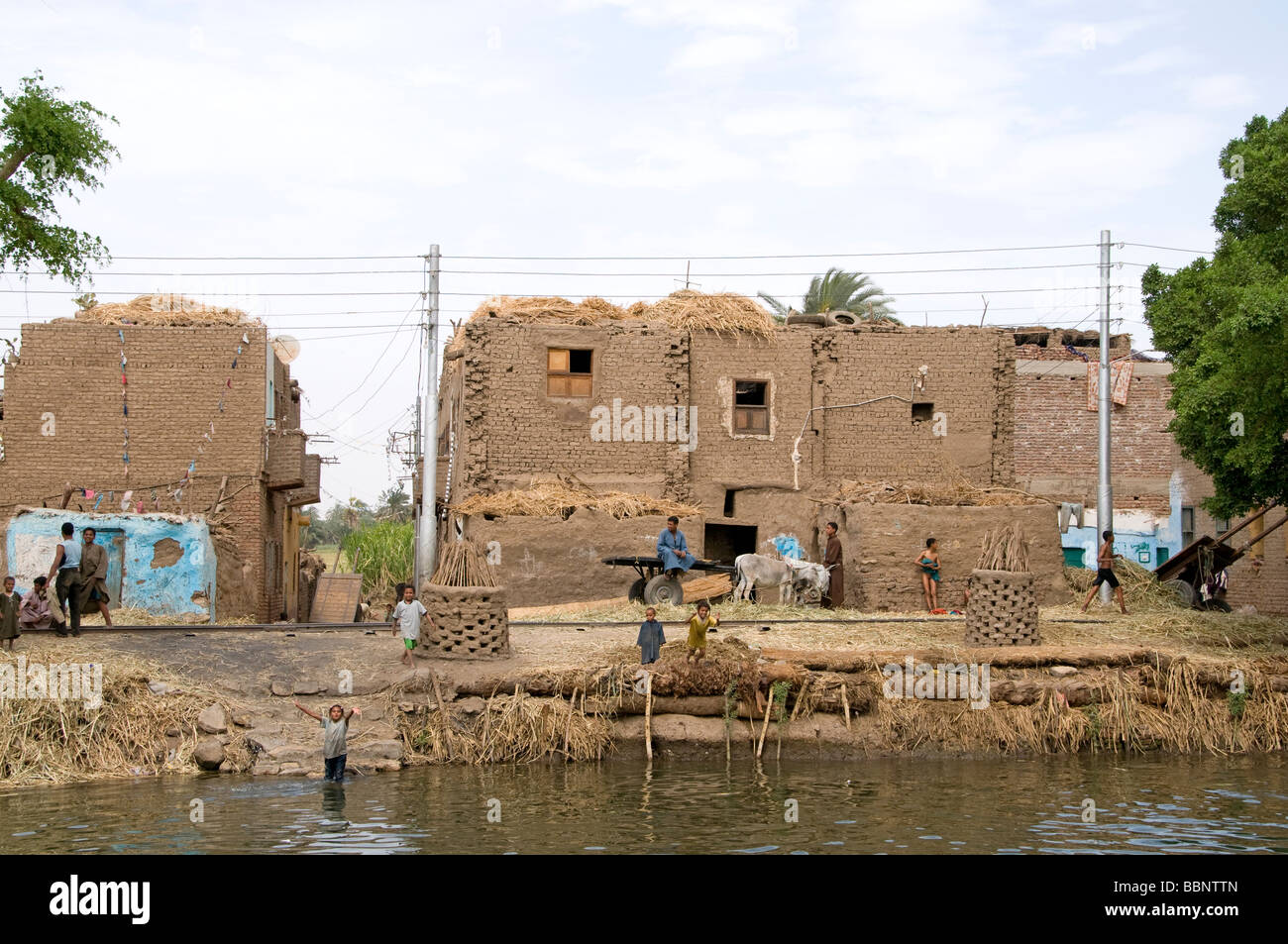 L'Égypte ferme agriculteur agriculture domaine vieux village sur le Nil près d'Assiout Banque D'Images