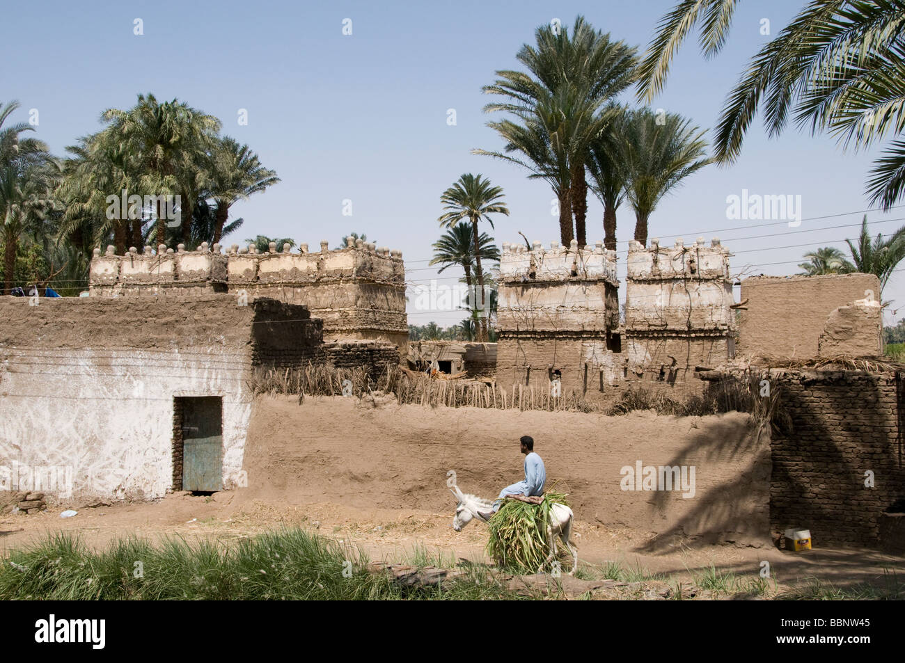 L'Égypte ferme agriculteur agriculture domaine vieux village sur le Nil près d'Assiout Banque D'Images