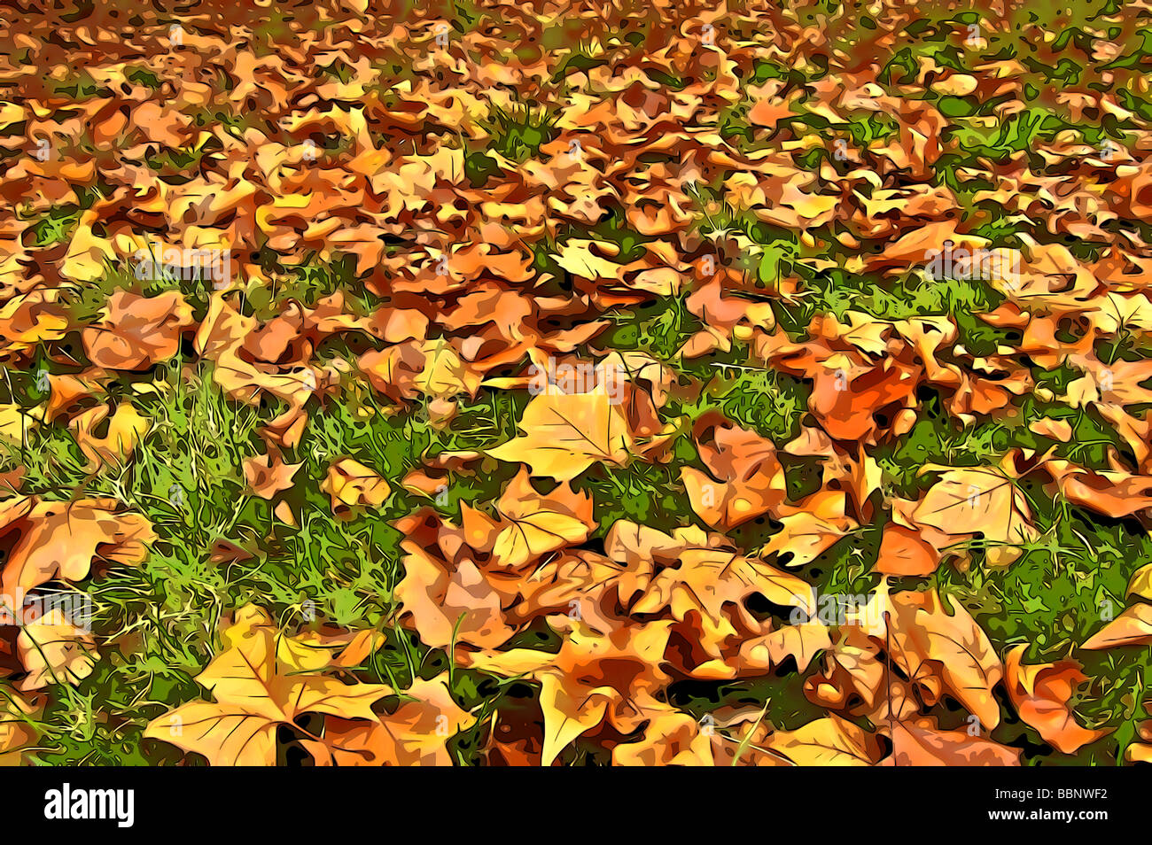 Cel-illustration de feuilles d'automne tombées au sol Banque D'Images
