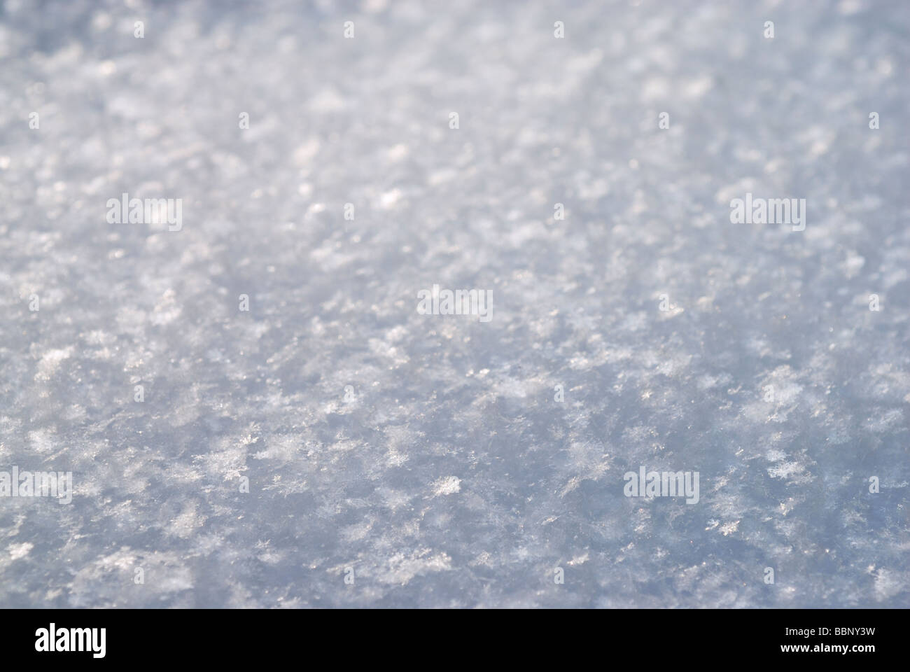 Fond de neige Banque D'Images