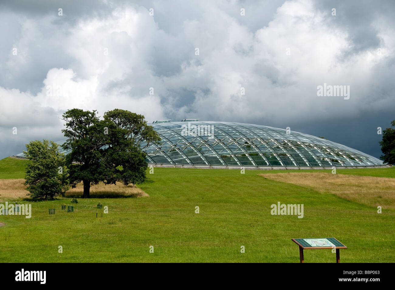 Les jardins botaniques nationaux. Une spectaculaire, Dome, plus grande portée unique au monde en serre. Banque D'Images