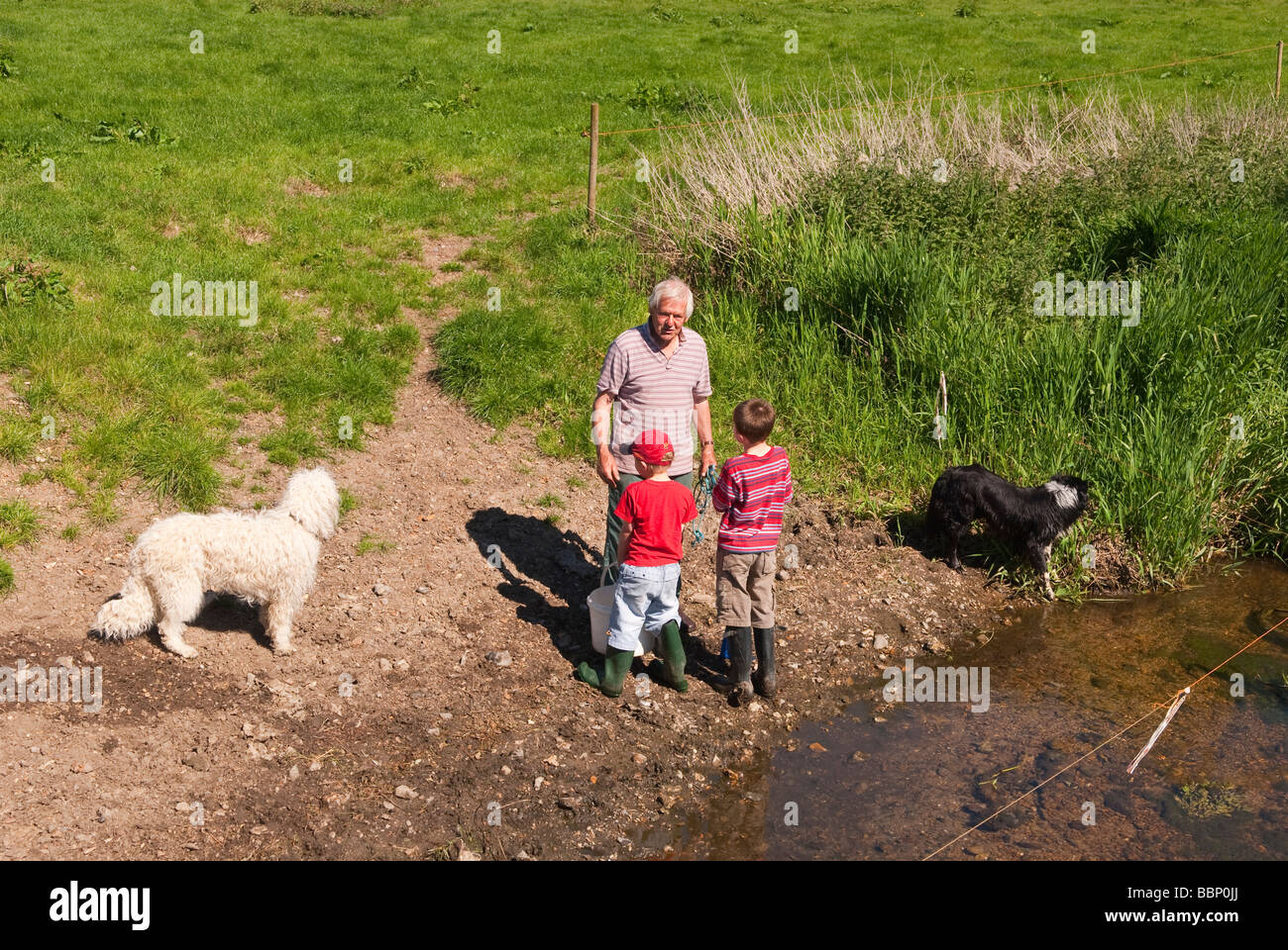 Deux jeunes garçons qui visitent leur grand-oncle's farm dans la campagne au Royaume-Uni dans un cadre rural avec des chiens Banque D'Images