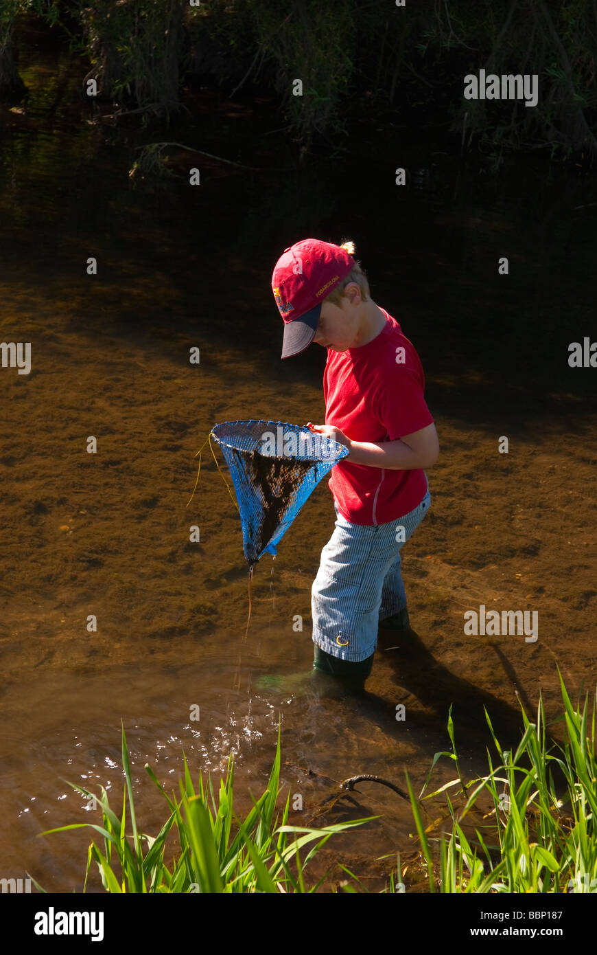 A cinq ans homme garçon enfant pêcher avec son filet de pêche essayant d'attraper des poissons dans une rivière au printemps au Royaume-Uni Banque D'Images