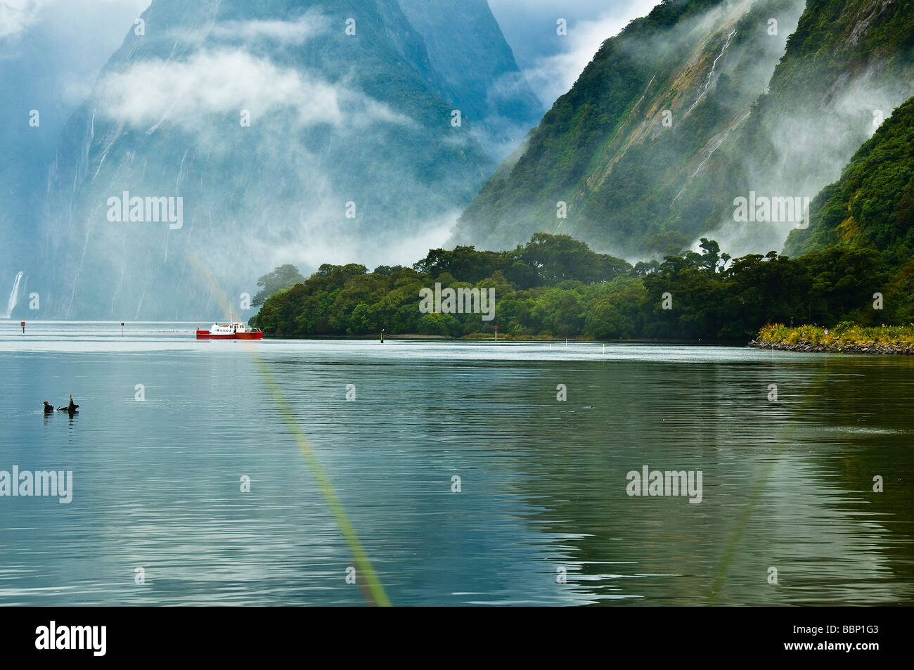 Le Parc National de Fiordland Milford Sound, Nouvelle Zélande Banque D'Images