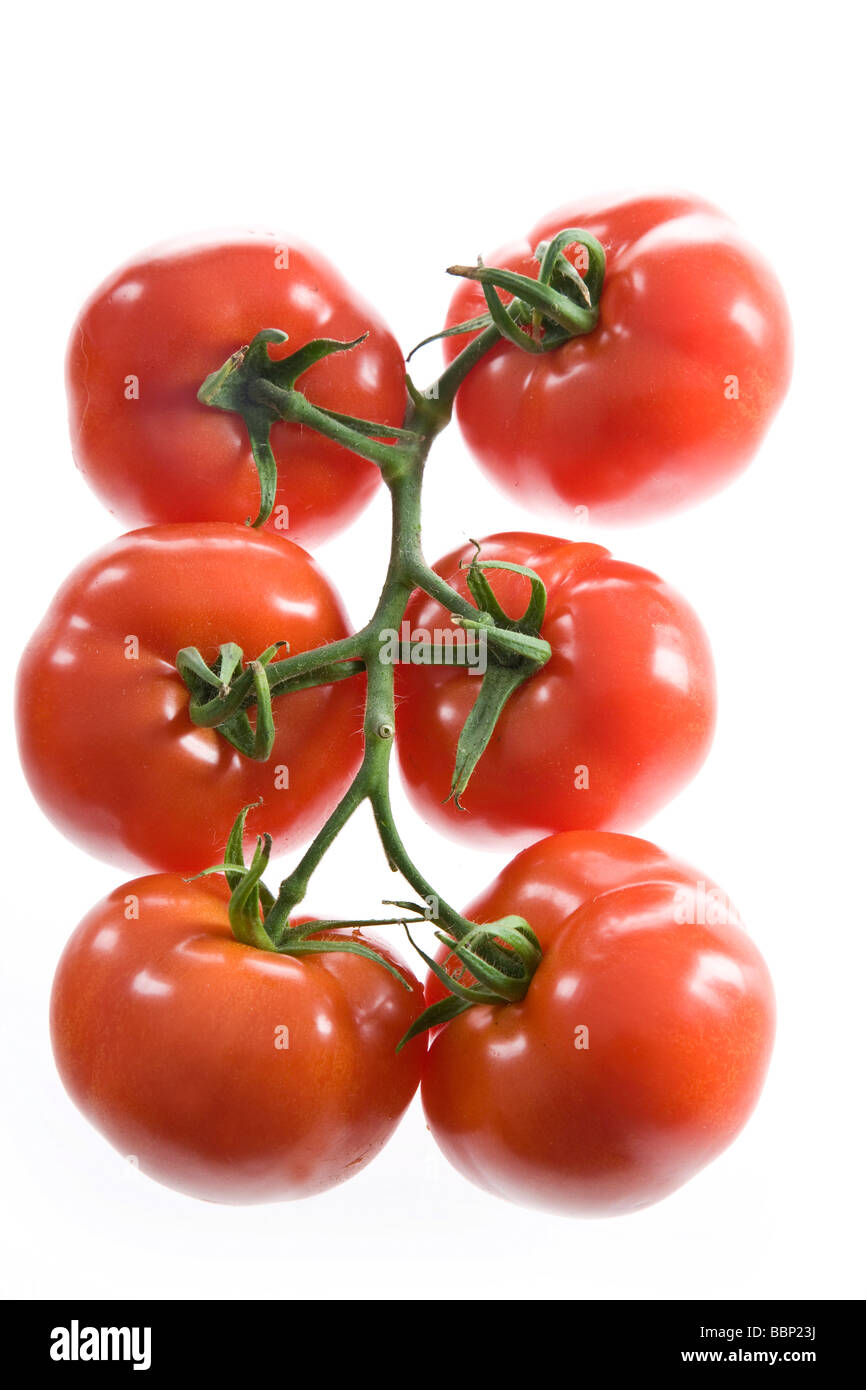 Tomates de vigne Banque D'Images