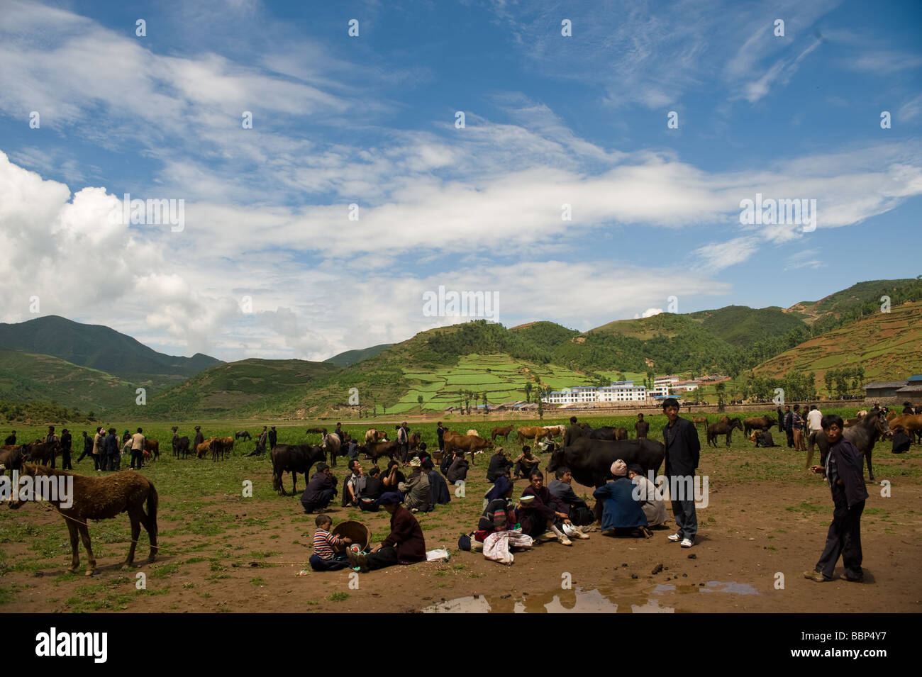 Marché aux bestiaux de Tribal Yi de Liangshan, Sichuan, Chine Banque D'Images