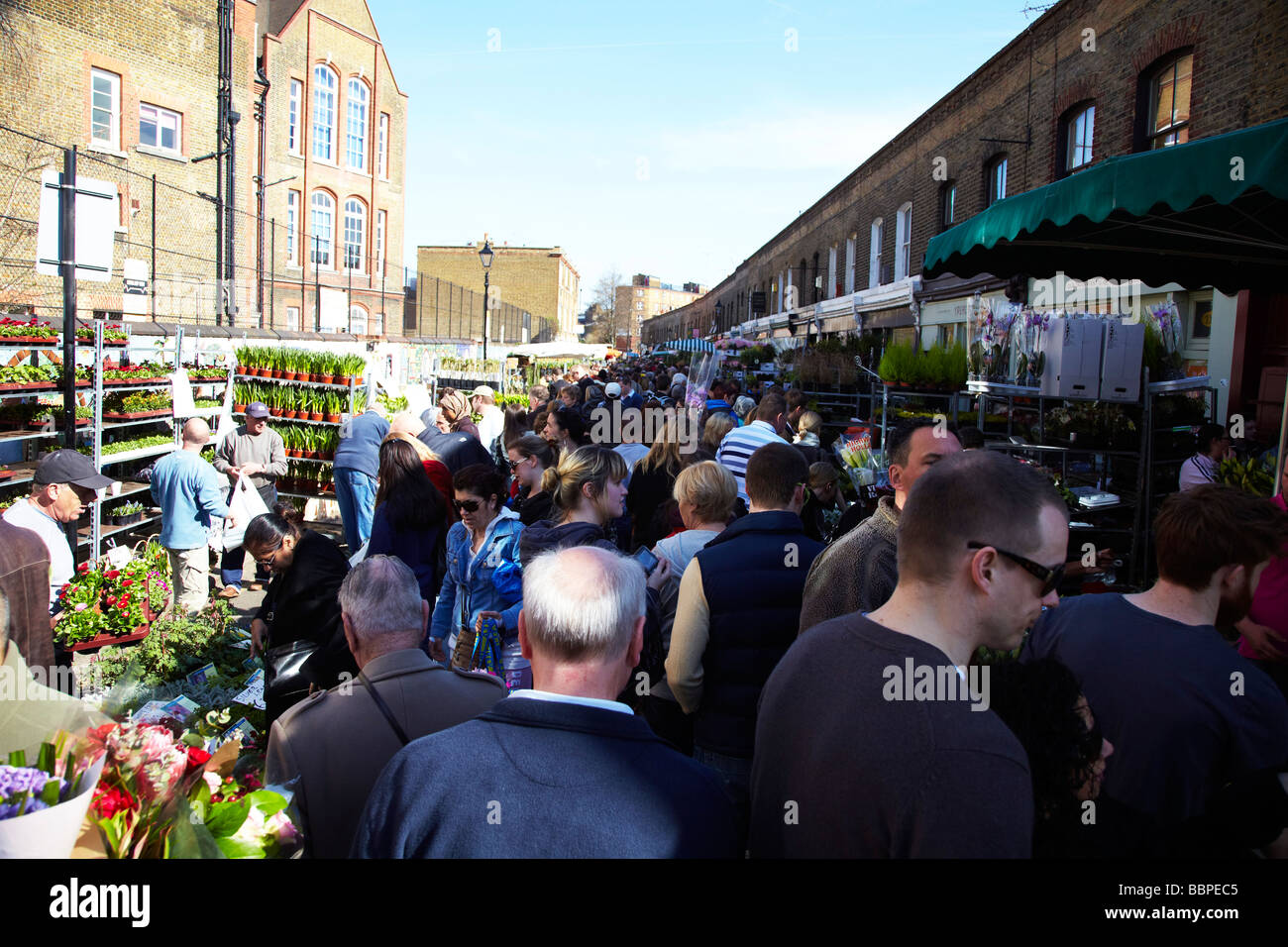 Marché aux Fleurs, Columbia Road, London Banque D'Images