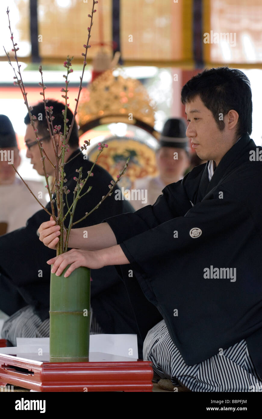 Un homme démontrant l'art de l'ikebana, ou l'organisation de la fleur à l'aide de printemps bourgeons et un vase en bambou Banque D'Images