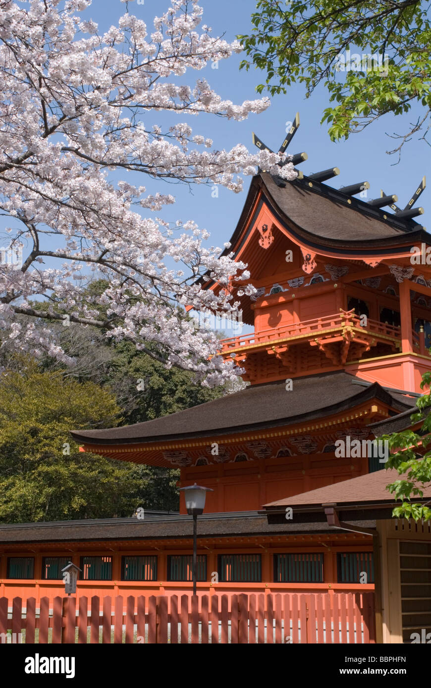 Les fleurs de cerisier ajouter à la beauté de la principale salle de trésor à Fujisan Hongu Sengen Taisha près de Fujinomiya Banque D'Images