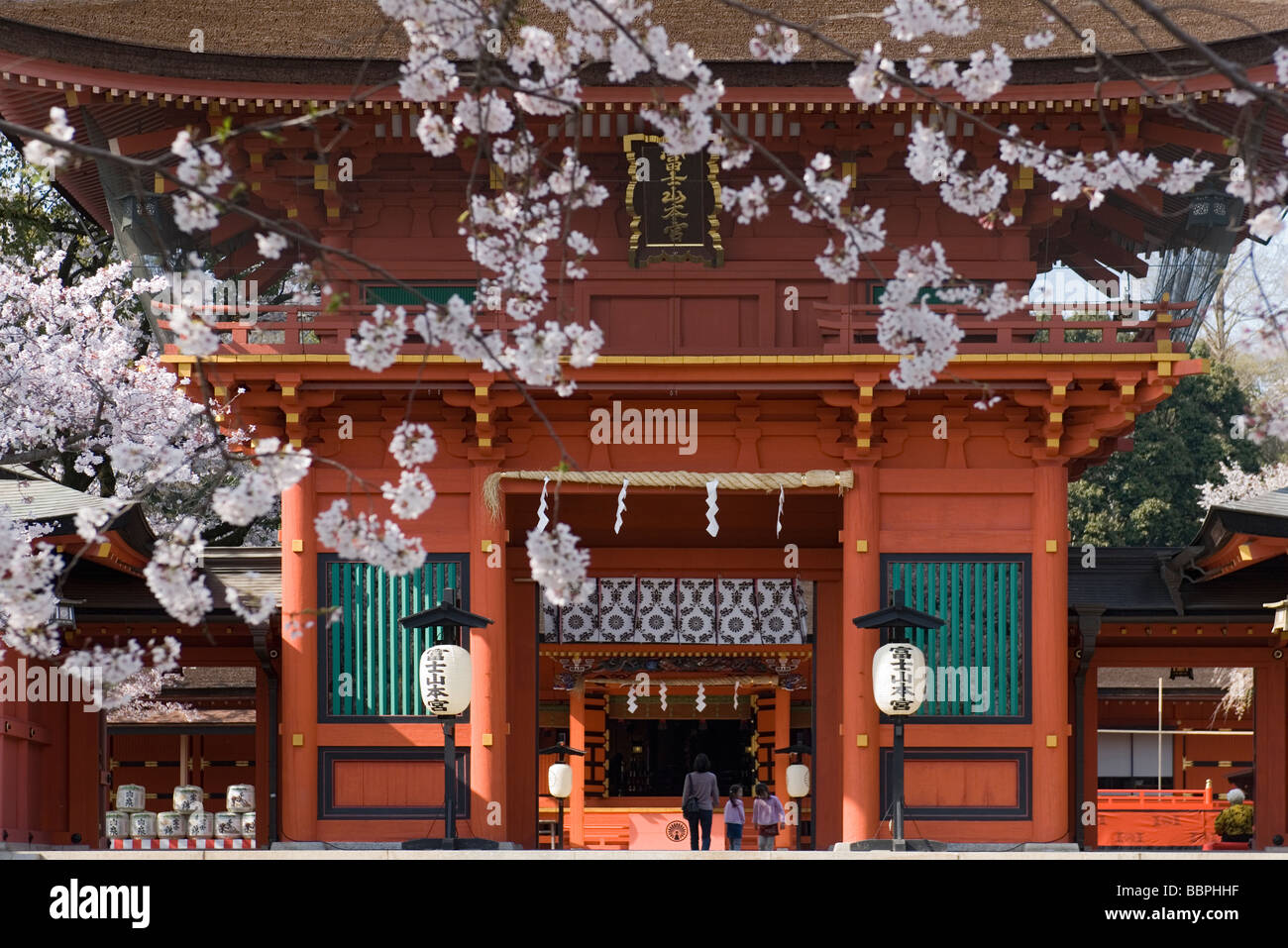 Cerisiers en fleurs ornent l'entrée principale porte de Fujisan Hongu Sengen Taisha près de Fujinomiya Banque D'Images