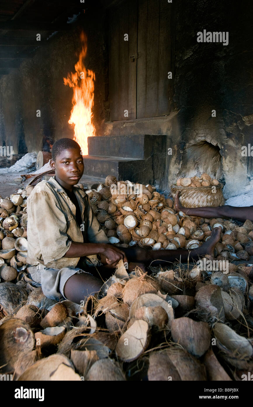Un garçon supprime la viande séchée appelée coprah à partir de la coque de noix de coco Quelimane Mozambique Banque D'Images