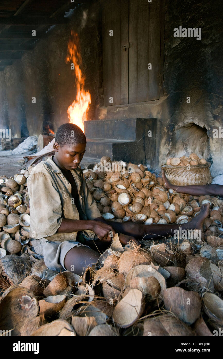 Un garçon supprime la viande séchée appelée coprah à partir de la coque de noix de coco Quelimane Mozambique Banque D'Images