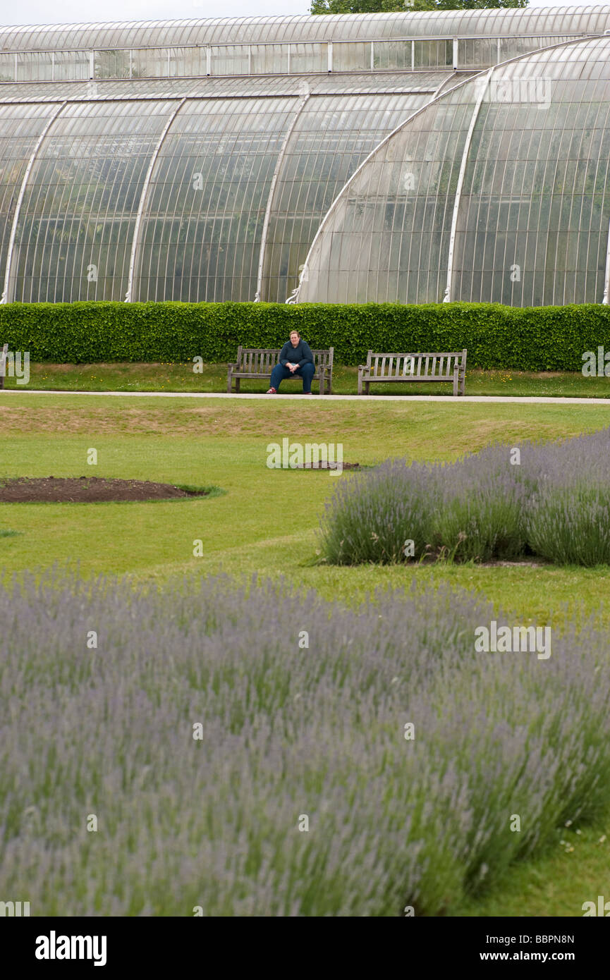Kew gardens 09 06 2009 Banque D'Images