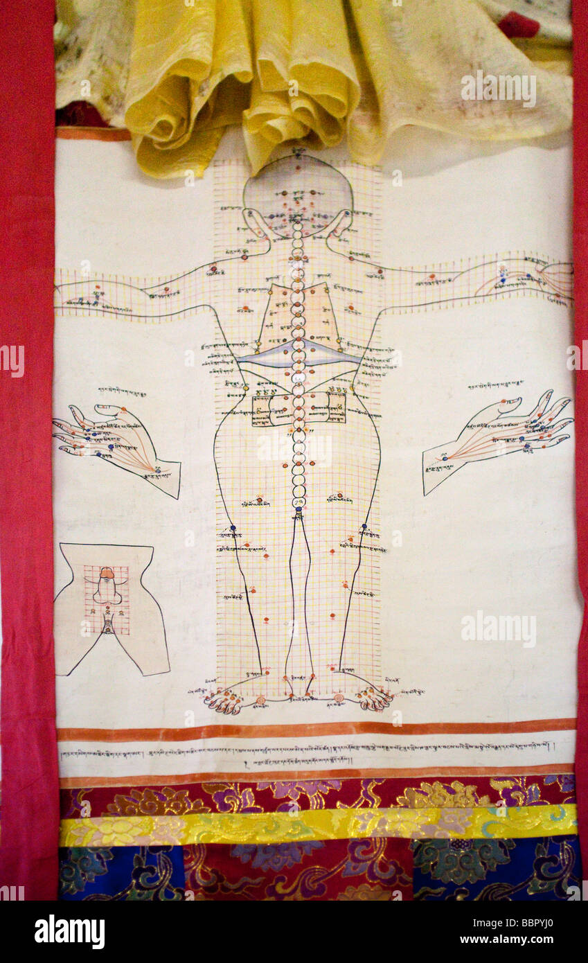 L Acupuncture Traditionnelle Chinoise Ancienne Carte Bhutan Thimphu Du Corps A La Verticale Photo Stock Alamy