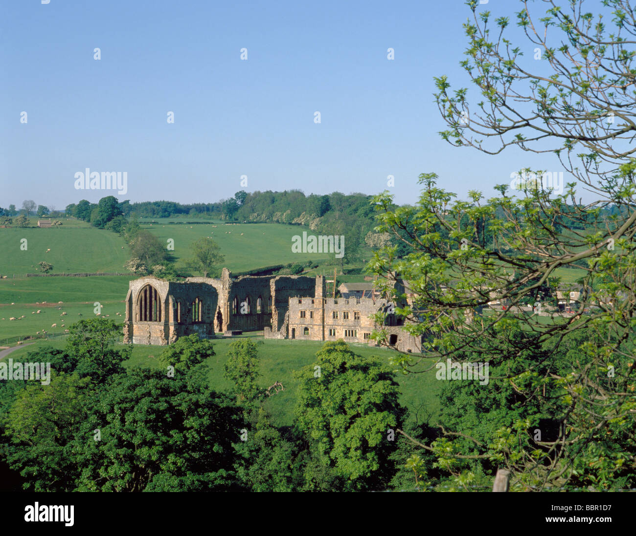 Ruines de l'abbaye Egglestone, près de Barnard Castle, County Durham, England, UK. Banque D'Images