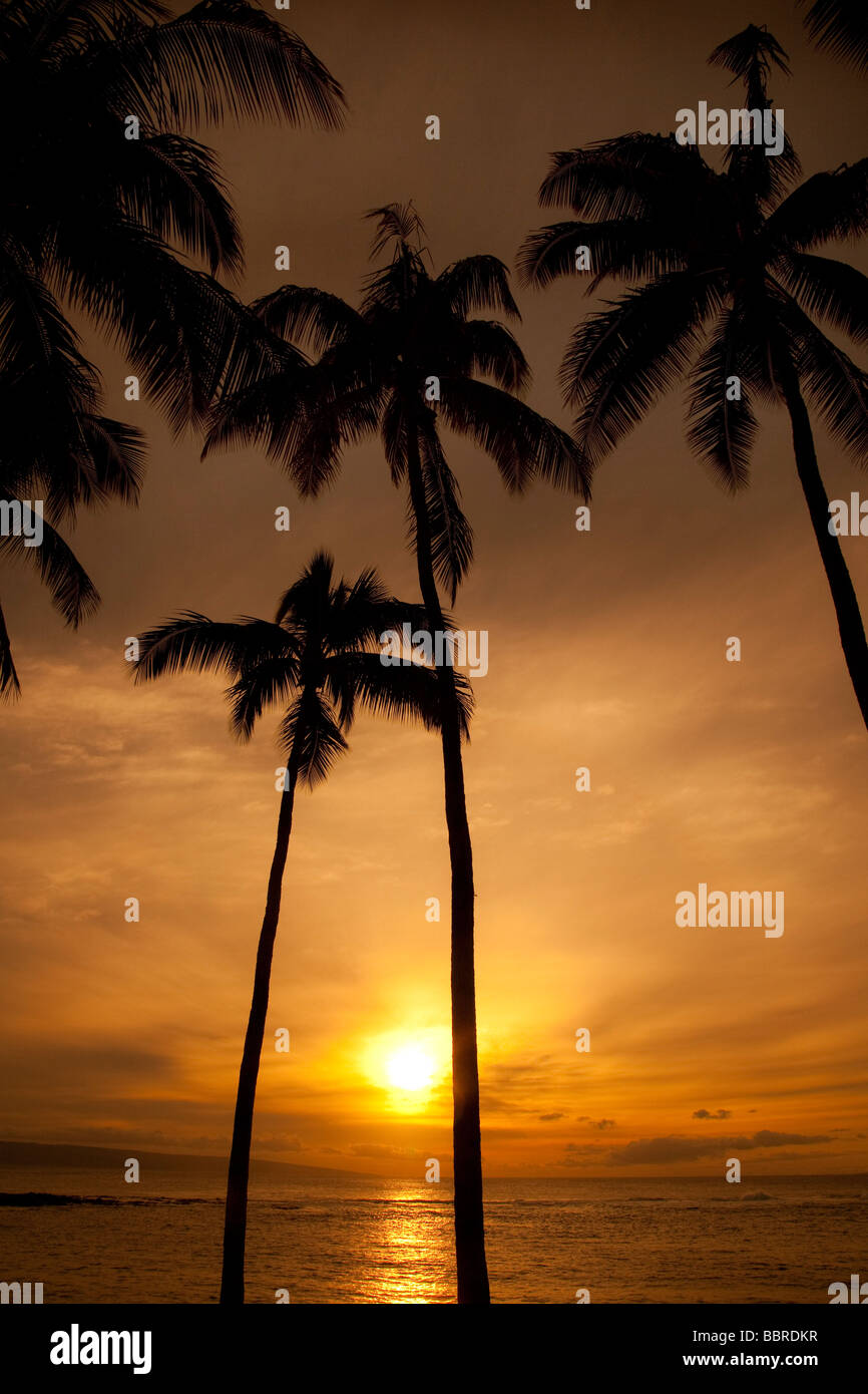 Coucher de Kapalua Beach Maui Hawaii Banque D'Images