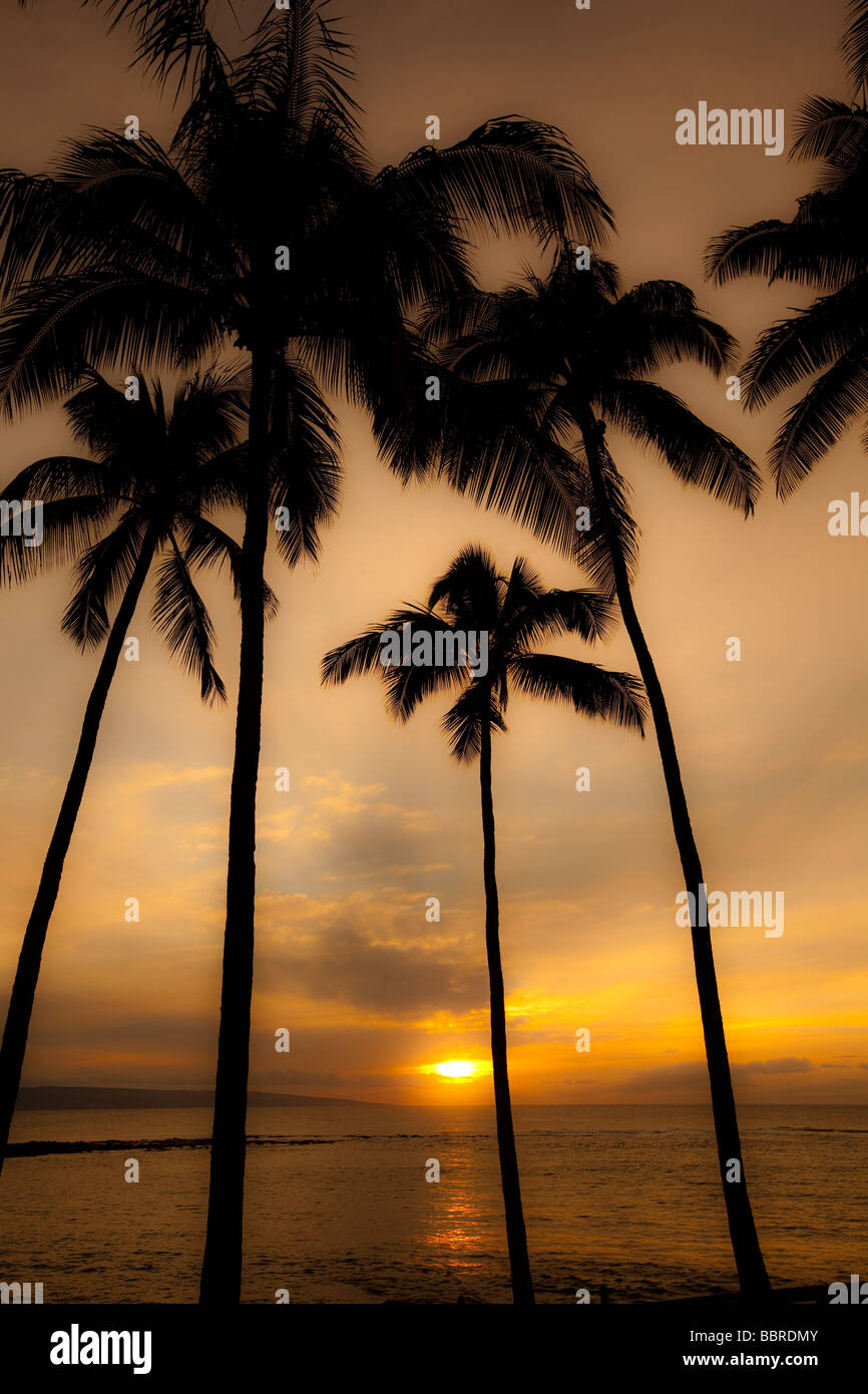 Coucher de Kapalua Beach Maui Hawaii Banque D'Images