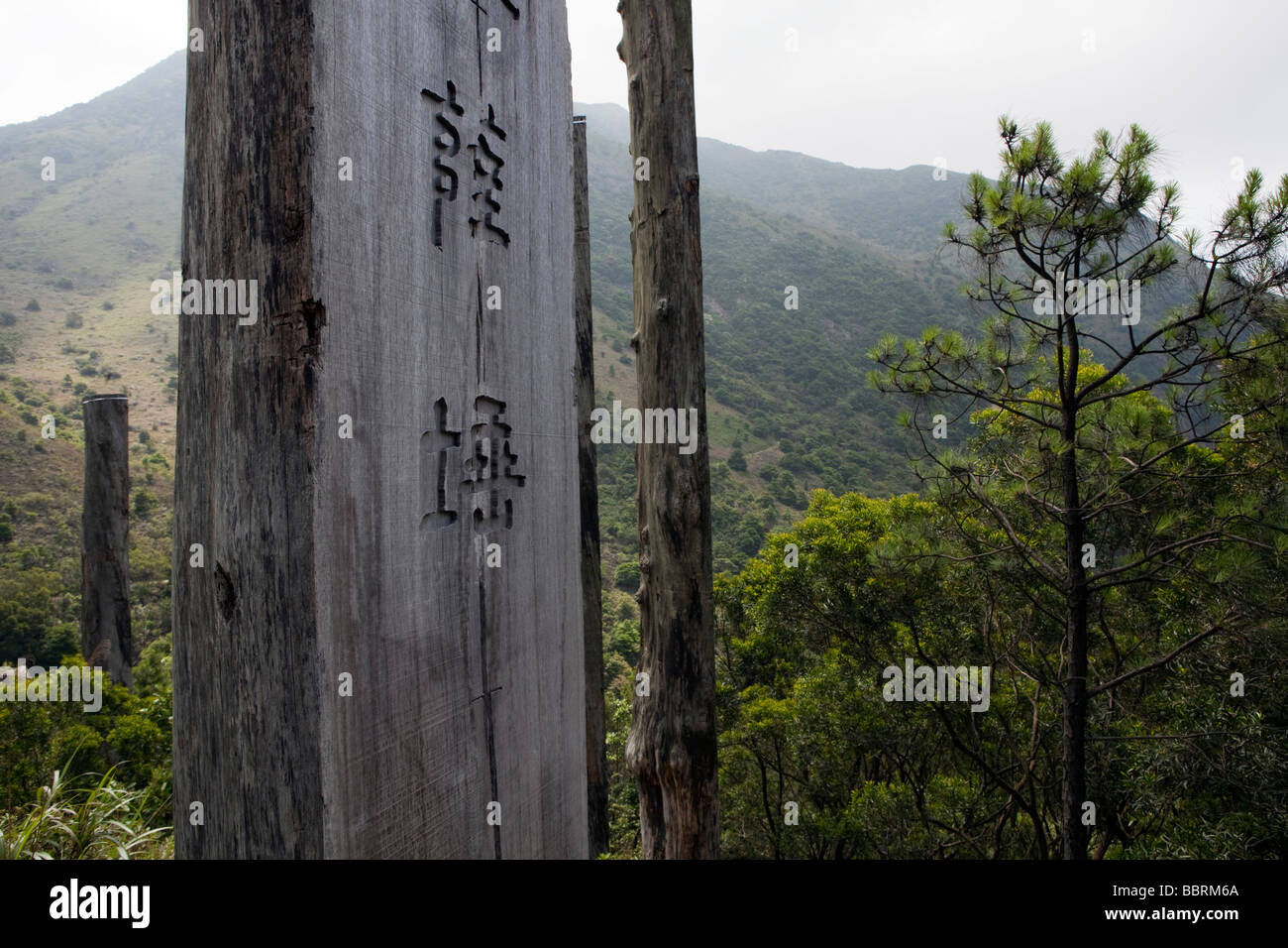 Le chemin de la sagesse est perçue sur l'île de Lantau, Hong Kong Banque D'Images