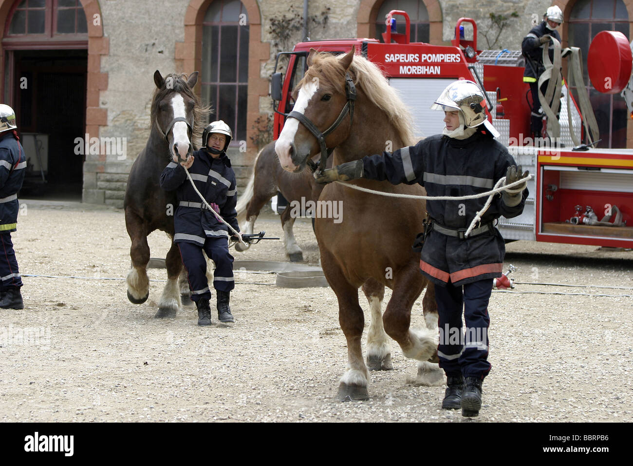 Les pompiers de l'ÉVACUATION DES CHEVAUX D'UN HARAS, HENNEBONT FIRE DEPARTMENT, Morbihan (56), FRANCE Banque D'Images