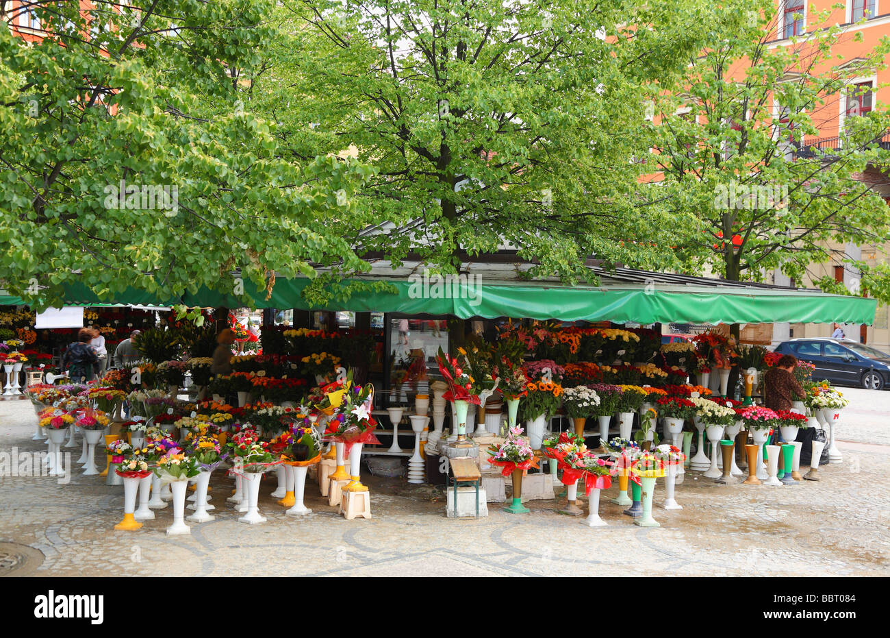 Flower stall Solny Square Wroclaw Pologne Banque D'Images