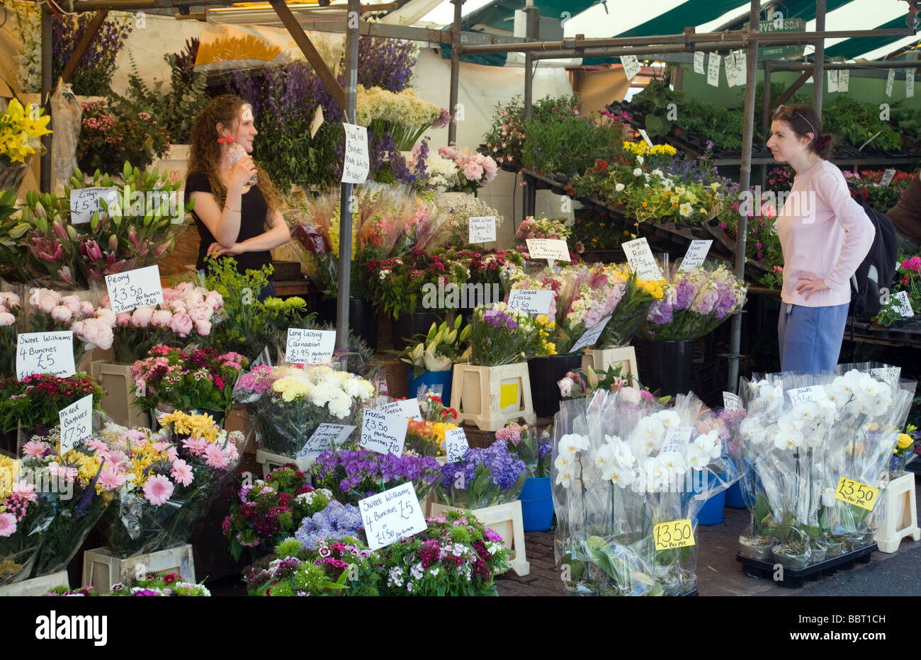 Une femme Shopping pour les fleurs chez un fleuriste, décrochage du marché de Cambridge, England UK Banque D'Images