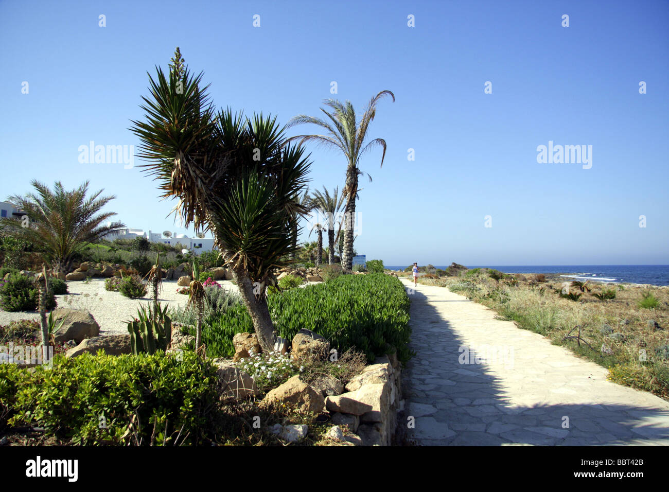 Sentier côtier près de Paphos, Chypre, à proximité de l'Akti Beach Hotel Banque D'Images