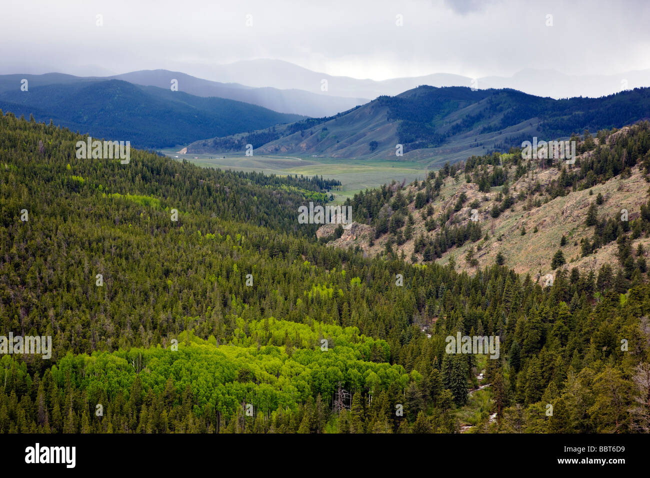 Voir l'ouest de la vallée de près de Monarch Pass Gunnison National Forest Colorado USA Banque D'Images