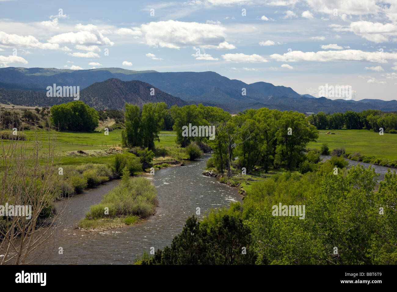 Voir le printemps au sud-est de la rivière Arkansas et San Isabel National Forest entre Buena Vista et Salida Colorado USA Banque D'Images