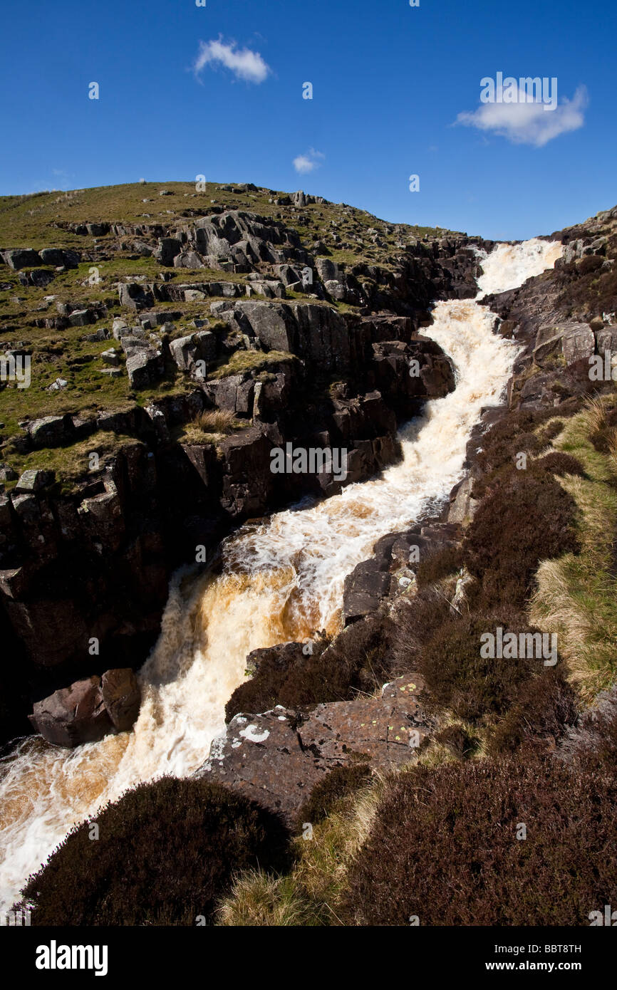 Museau chaudron est une chute sur le cours supérieur de la Rivière Tees dans le Nord de l'Angleterre Banque D'Images