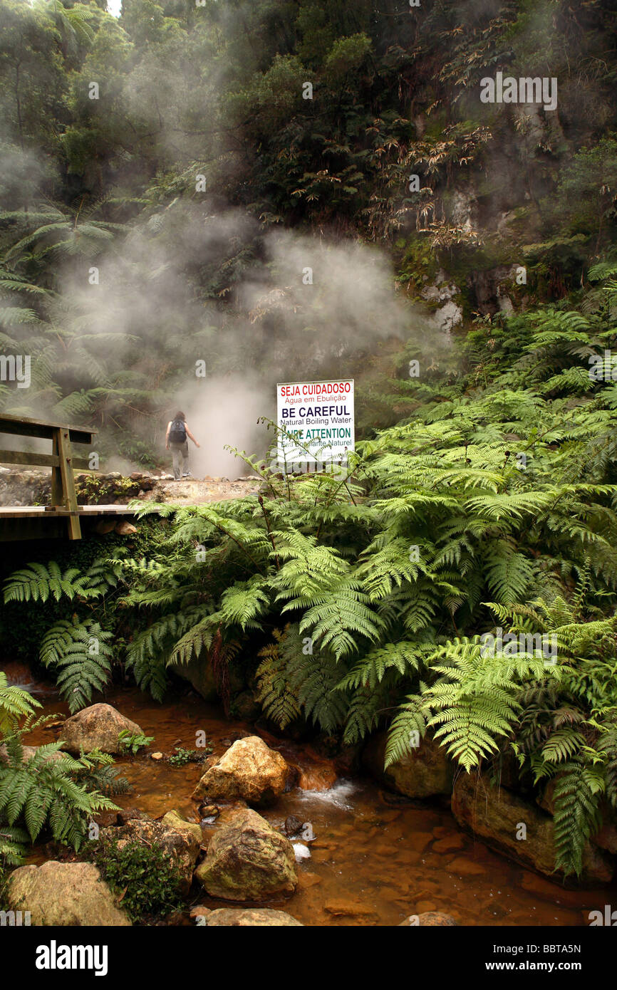 Chalybeate springs, Caldeira Vehla, l'île de São Miguel, Açores, Portugal, Europe Banque D'Images