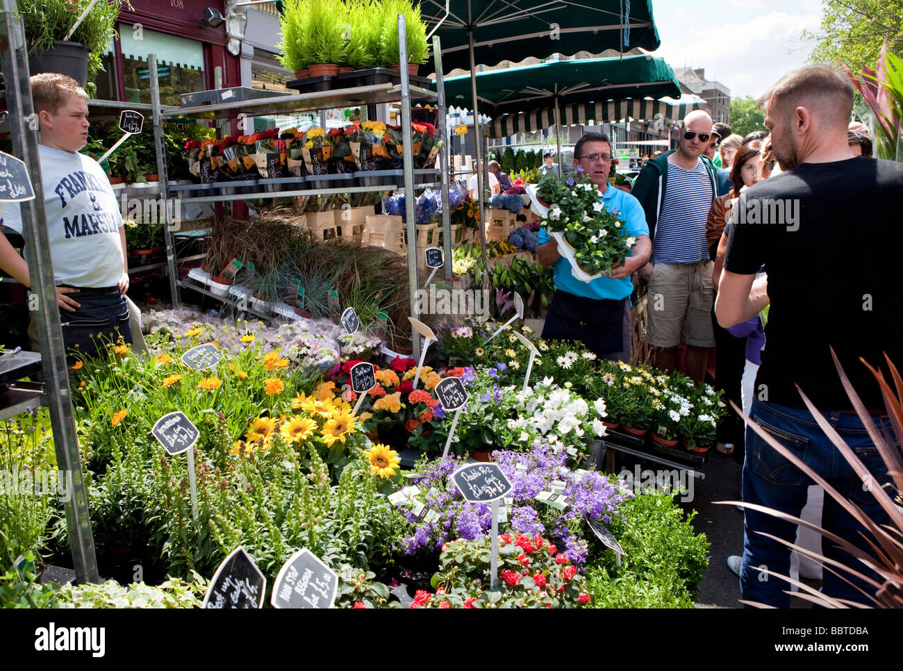 Columbia Road Flower Market, Londres Banque D'Images