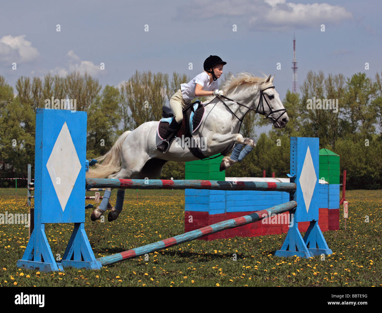 Sport équestre Banque D'Images