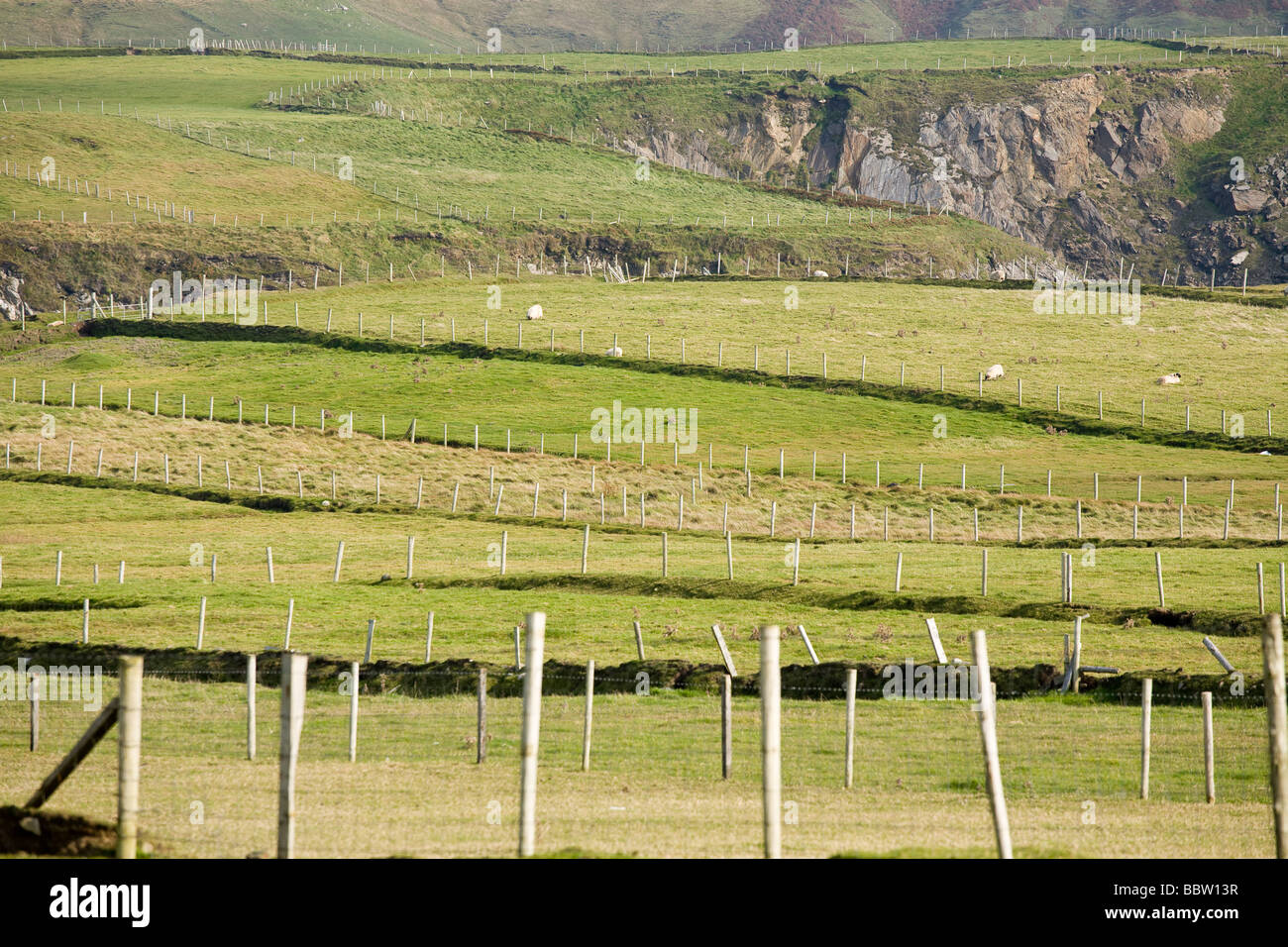 Des clôtures. Une série de poteaux de clôture en bois diviser le parcours et garder les moutons sur les falaises. Banque D'Images