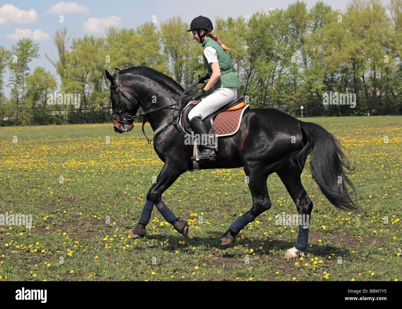 Cheval et femme Banque D'Images