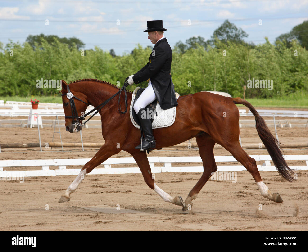 Horse rider en concours de dressage Banque D'Images
