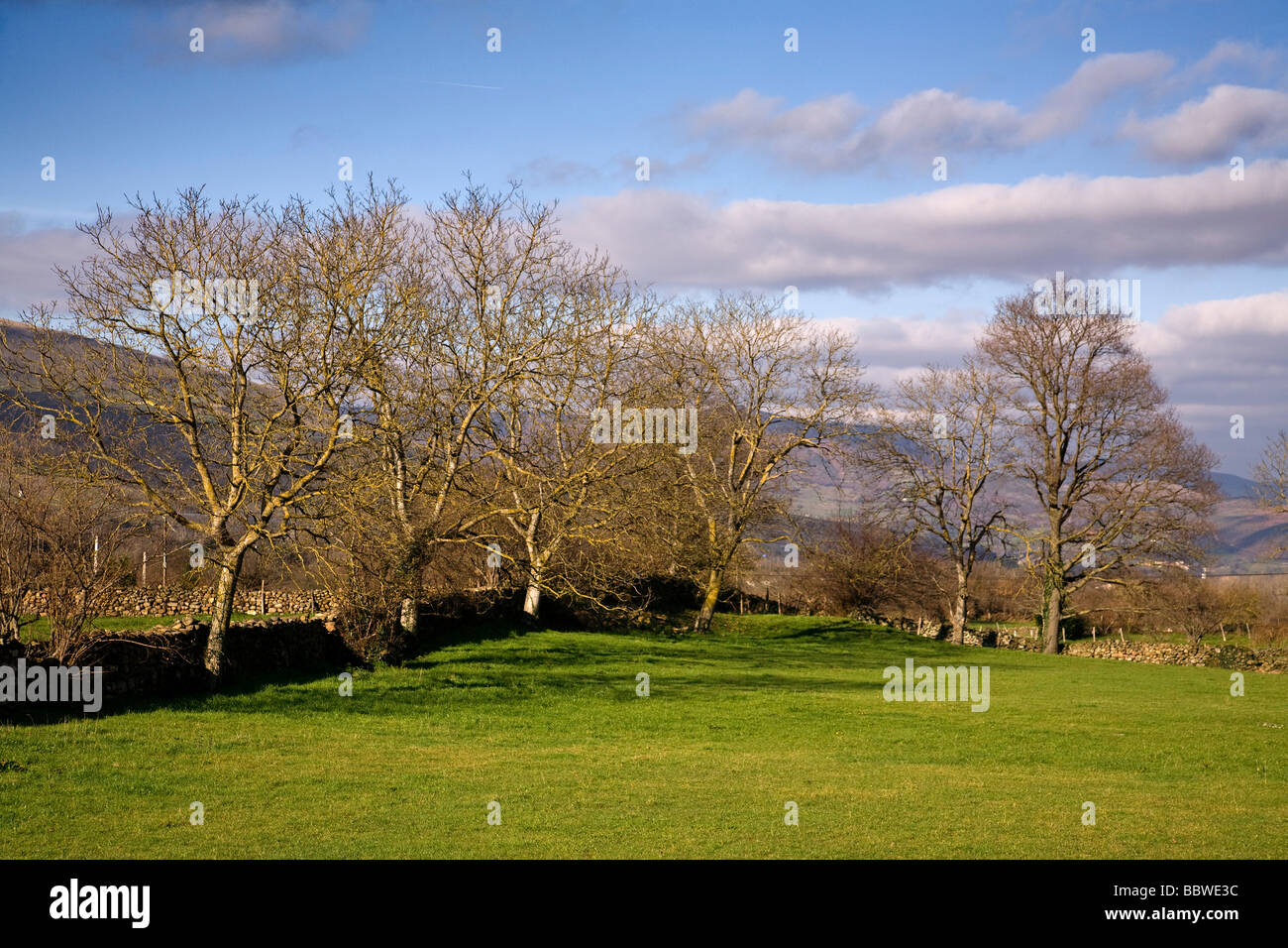 Prado Verde en Silió Molledo Cantabria España pré vert dans Silio Molledo Cantabria Espagne Banque D'Images
