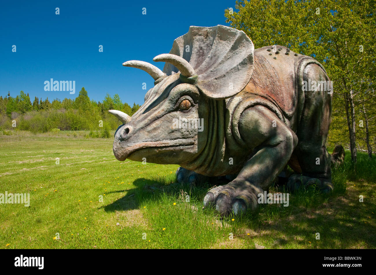 Un modèle d'un dinosaure préhistorique dans les bois à East Braintree, au Manitoba, Canada. Banque D'Images