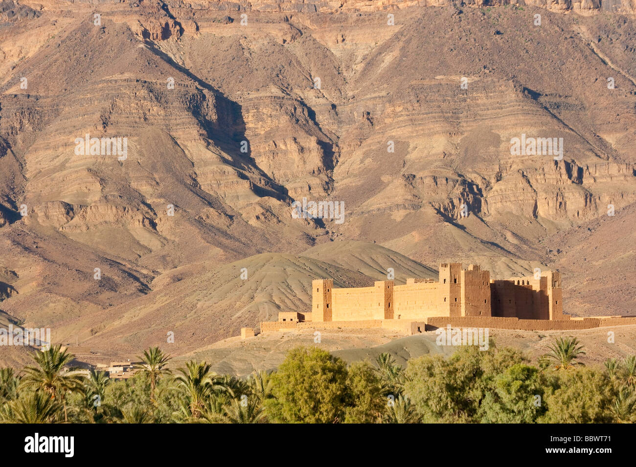 Kasbah de Tamnougalt et Jebel Kissane dans l'Anti Atlas dans la vallée du Draa au Maroc Afrique du Nord Banque D'Images