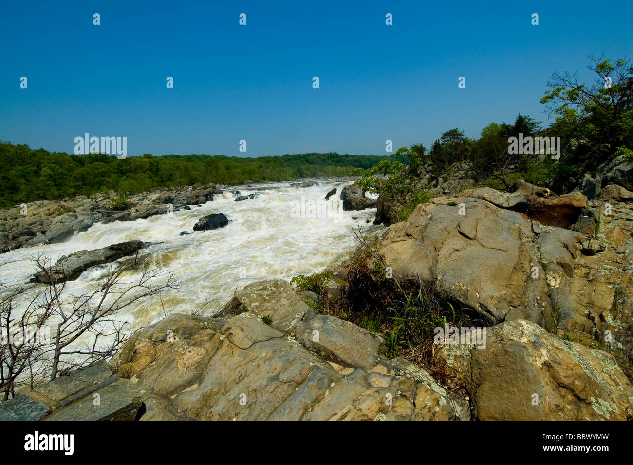 Eaux du fleuve Potomac VA Great Falls cascades rochers bloque C O Canal Chesapeake and Ohio Canal Washington DC Banque D'Images