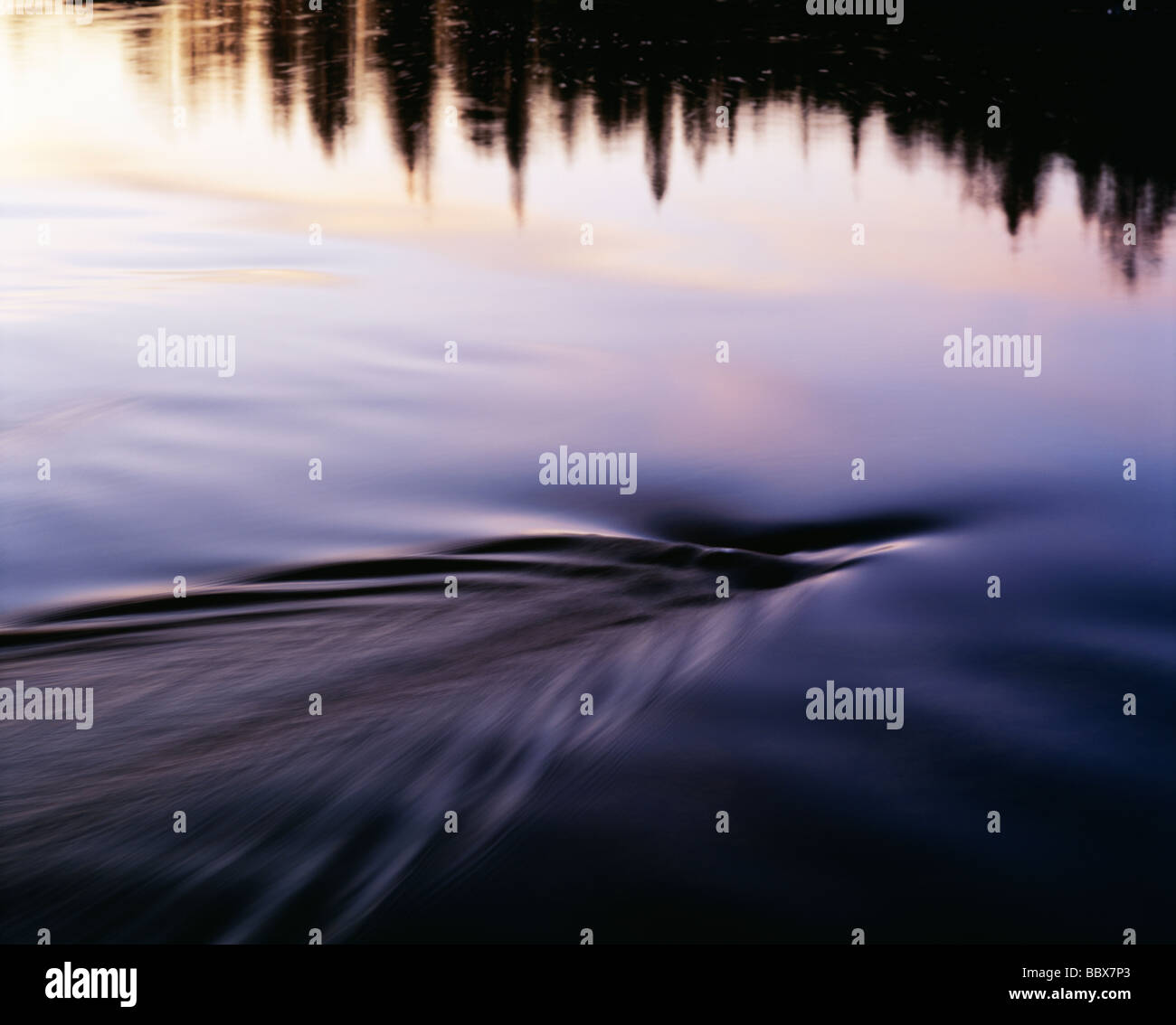 Reflet des arbres dans l'eau Banque D'Images