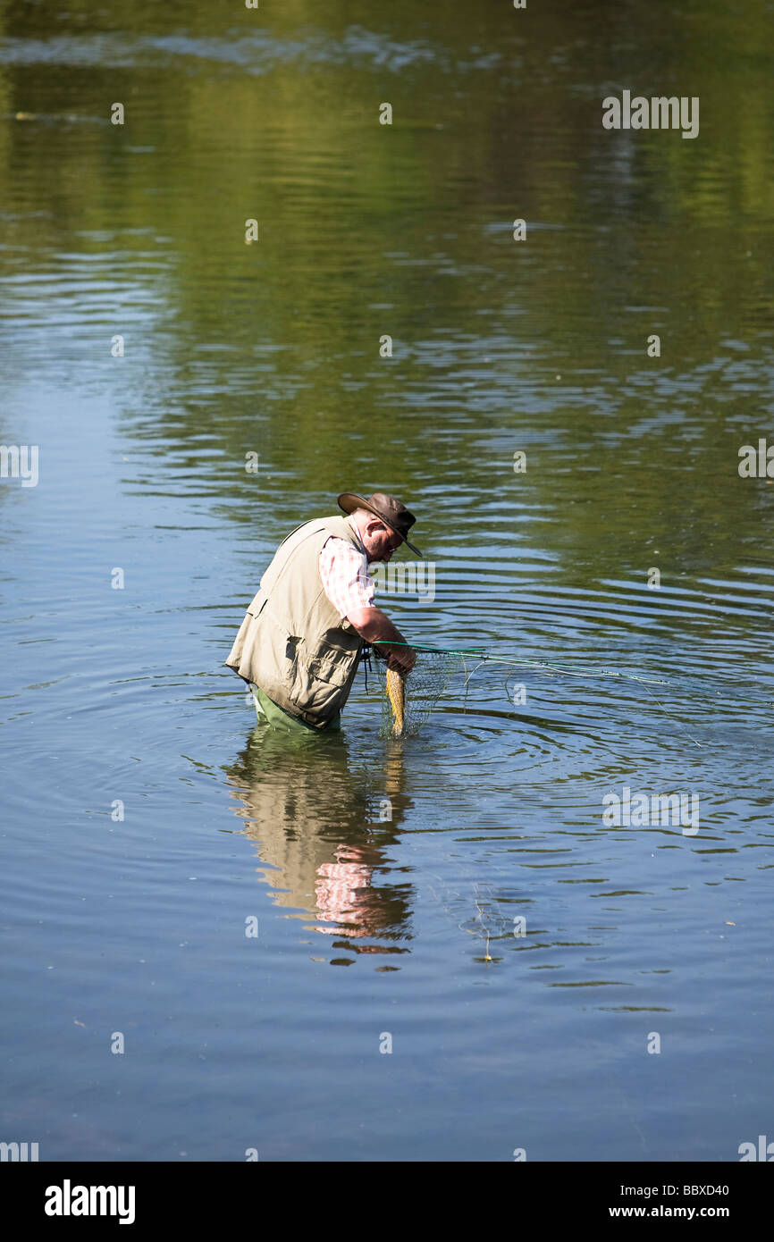 Pêcheur de mouche de prendre des truites de rivière en net Banque D'Images