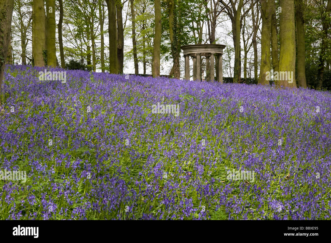 Renishaw Hall gardens,accueil à la famille Sitwell près de Eckington Sheffield South Yorkshire Angleterre Banque D'Images