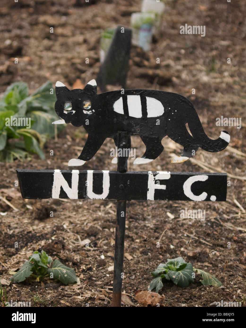 NUFC chat dans un jardin à Stanhope County Durham Angleterre Banque D'Images