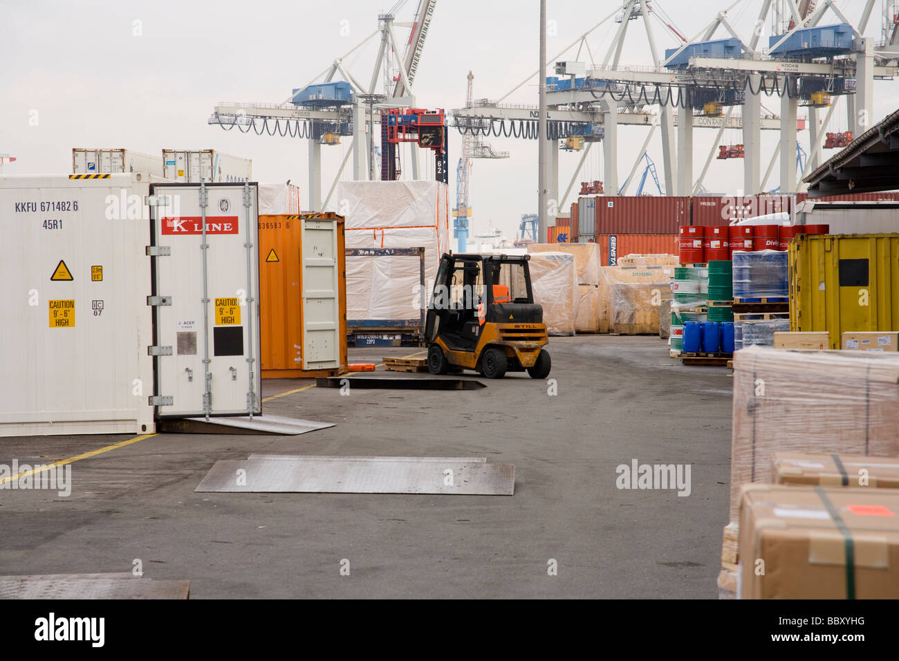 Chariots élévateurs chargeant des conteneurs d'expédition prêts à l'exportation dans un port très fréquenté. Banque D'Images