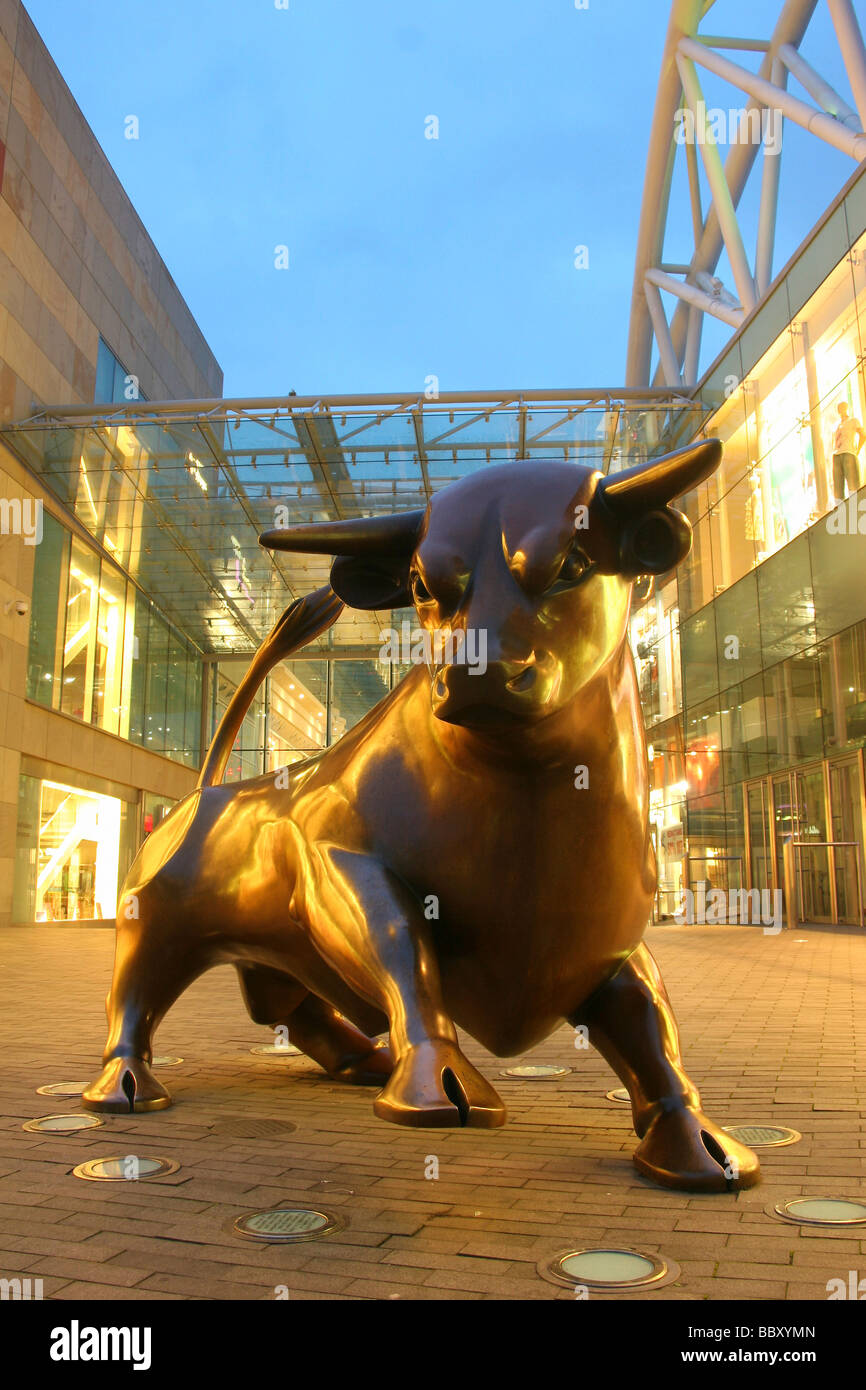 Centre commercial Bullring de nuit dans le centre-ville de Birmingham. Sur la photo est le Bronze Bullring et Bull. Banque D'Images