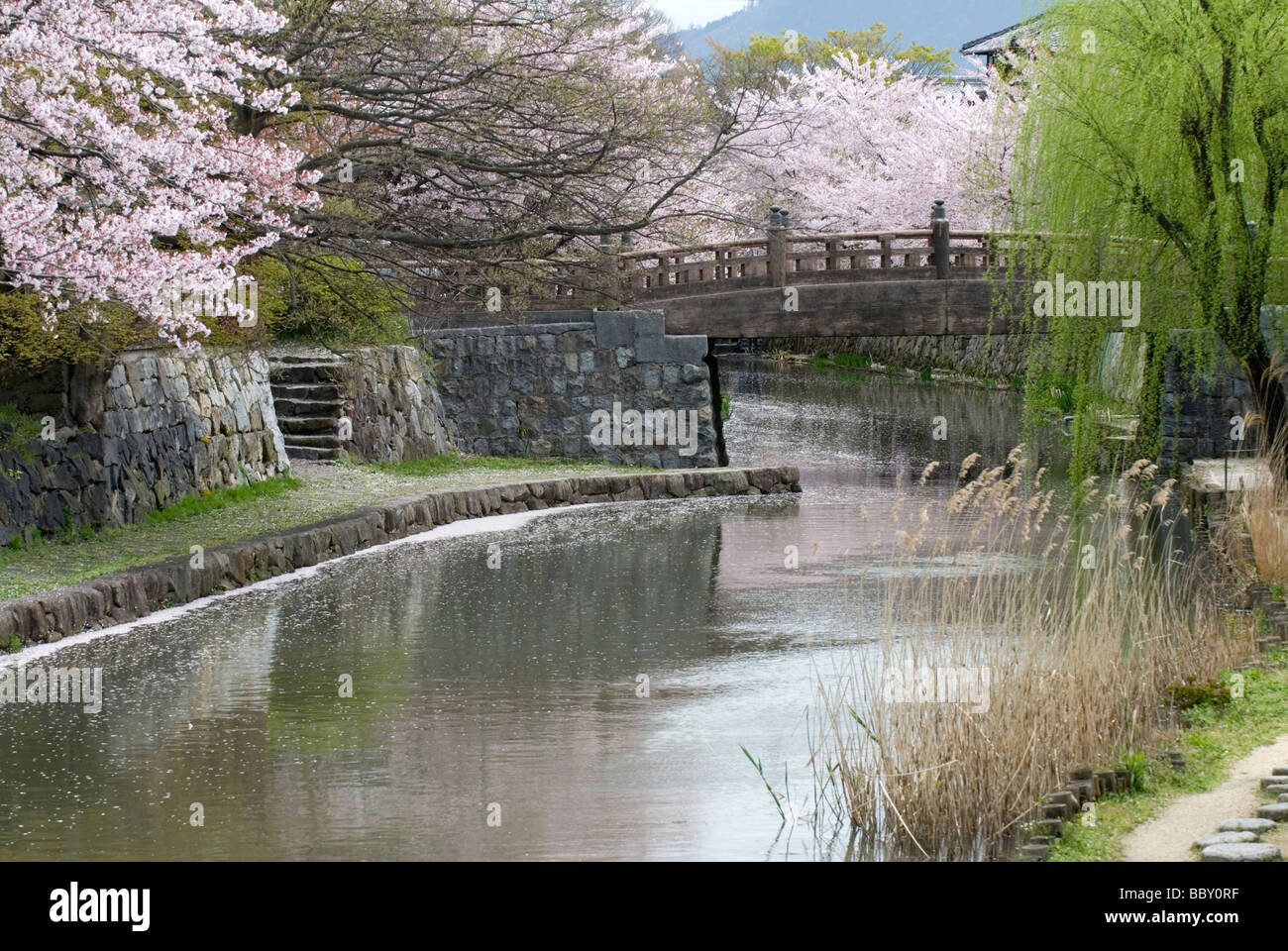 Ajouter de la couleur à cerisiers le paysage le long du canal dans une Ohmihachiman quartier historique de la ville Préfecture de Shiga Banque D'Images