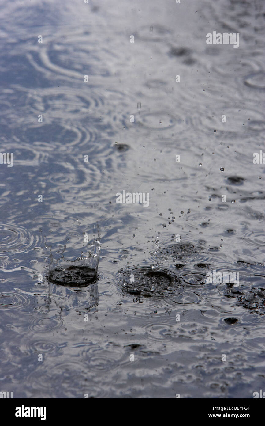Les gouttes de pluie s'éclabousser dans une flaque d'eau de piscine l'été britannique Banque D'Images