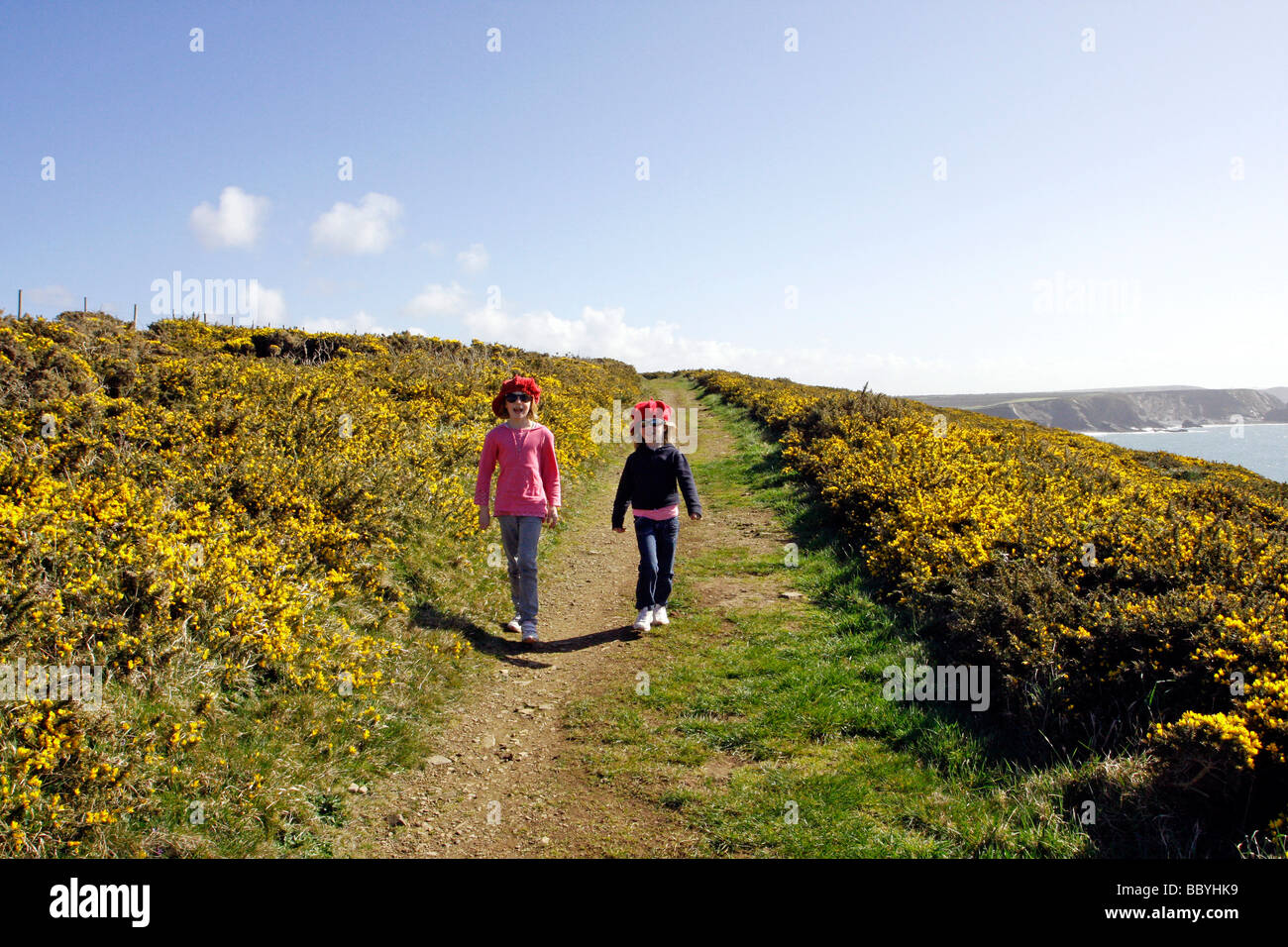 Deux filles sur le chemin de la côte du Pembrokeshire, à St Brides Bay le printemps avec l'ajonc en fleur West Wales UK Banque D'Images