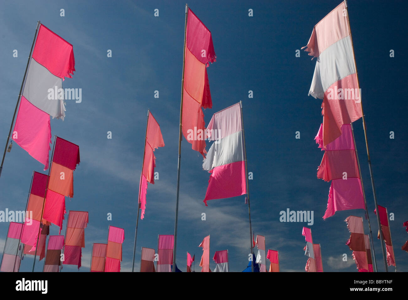 Drapeaux colorés sur fond de ciel bleu au festival WOMAD en Angleterre Banque D'Images